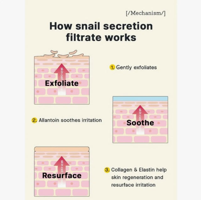 COSRX Advanced Snail 96 Mucin Power Essence 100 mL. How snail secretion filtrate works. 1. Gently exfoliates. 2. Allantoin soothes irritation. 3. Collagen & Elastin help skin regeneration and resurface irritation.